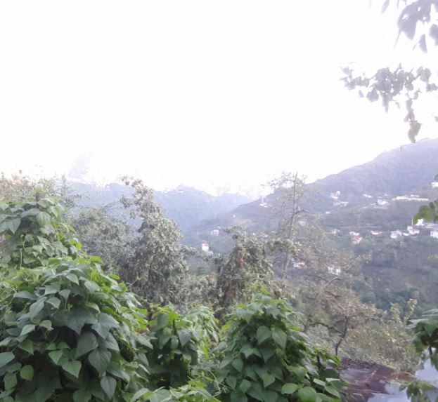 Şalpazarı Çarlaklı Köyü Resimleri 2