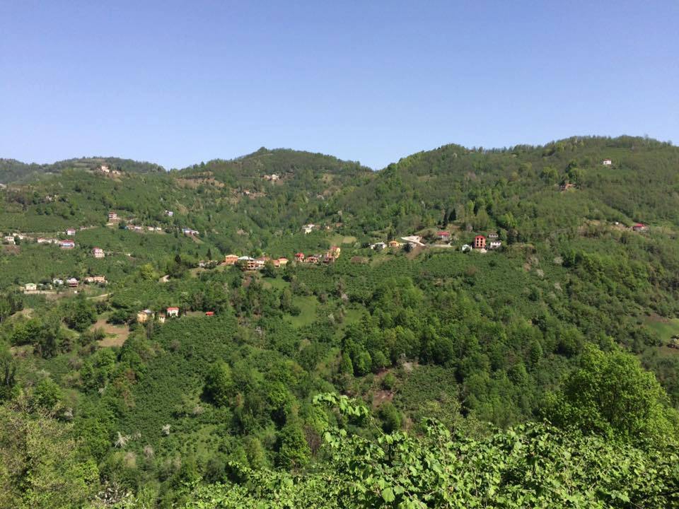 Şalpazarı Çarlaklı Köyü Resimleri 20