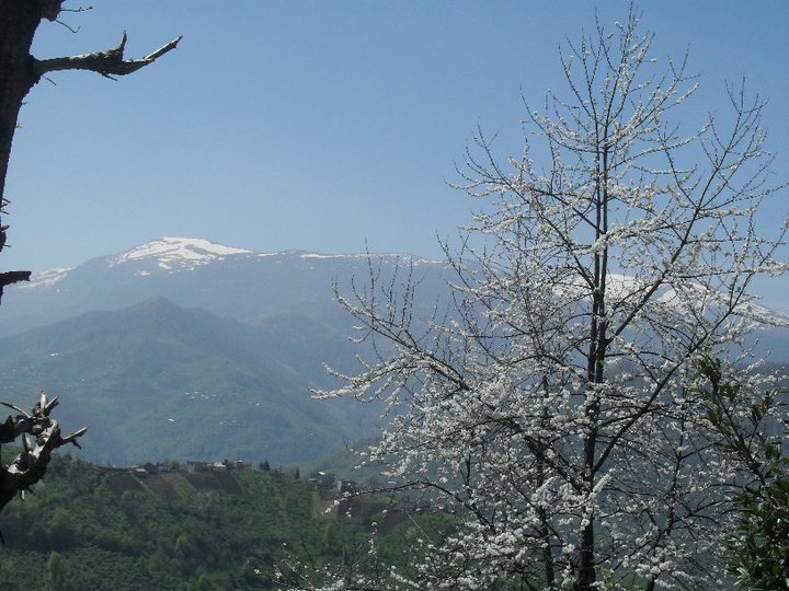 Şalpazarı Çarlaklı Köyü Resimleri 21