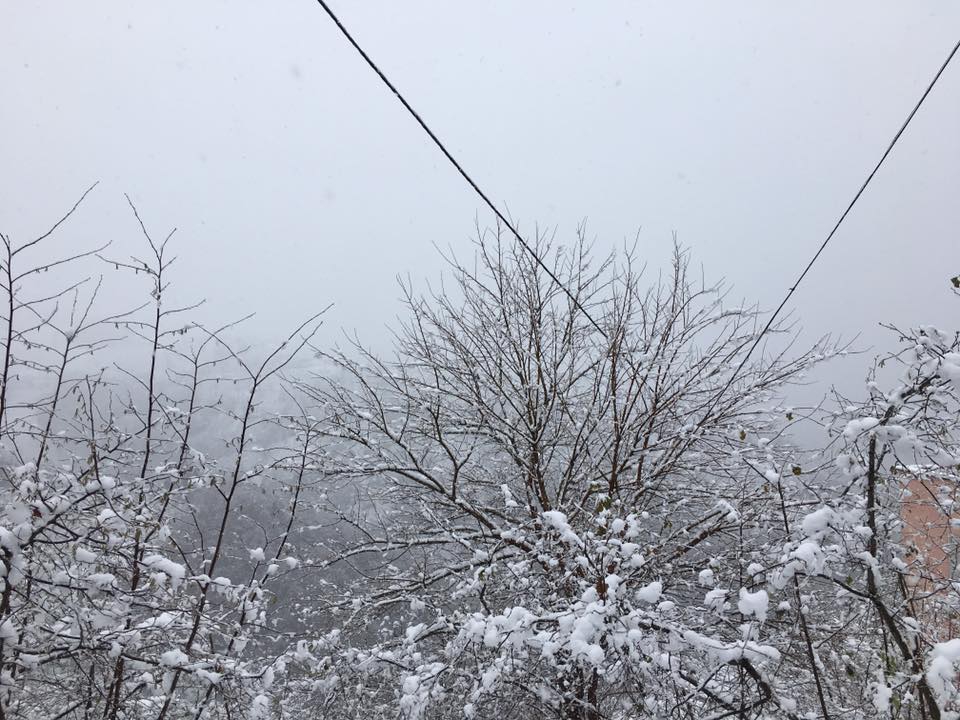 Şalpazarı Çarlaklı Köyü Resimleri 29