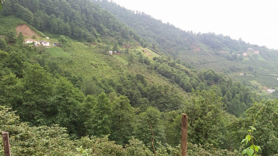 Şalpazarı Çarlaklı Köyü Resimleri 34