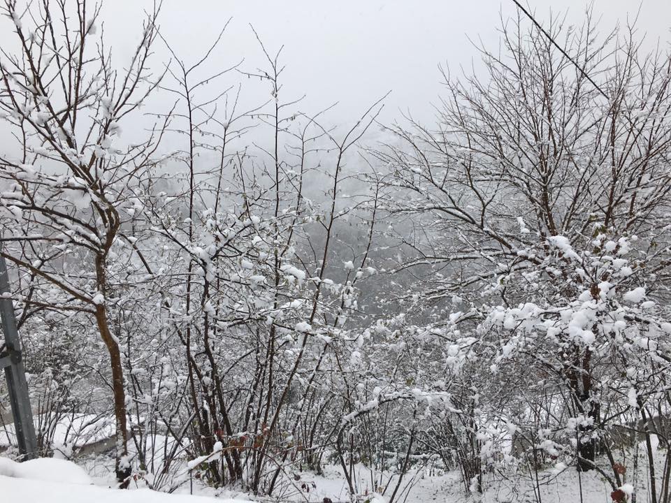 Şalpazarı Çarlaklı Köyü Resimleri 35