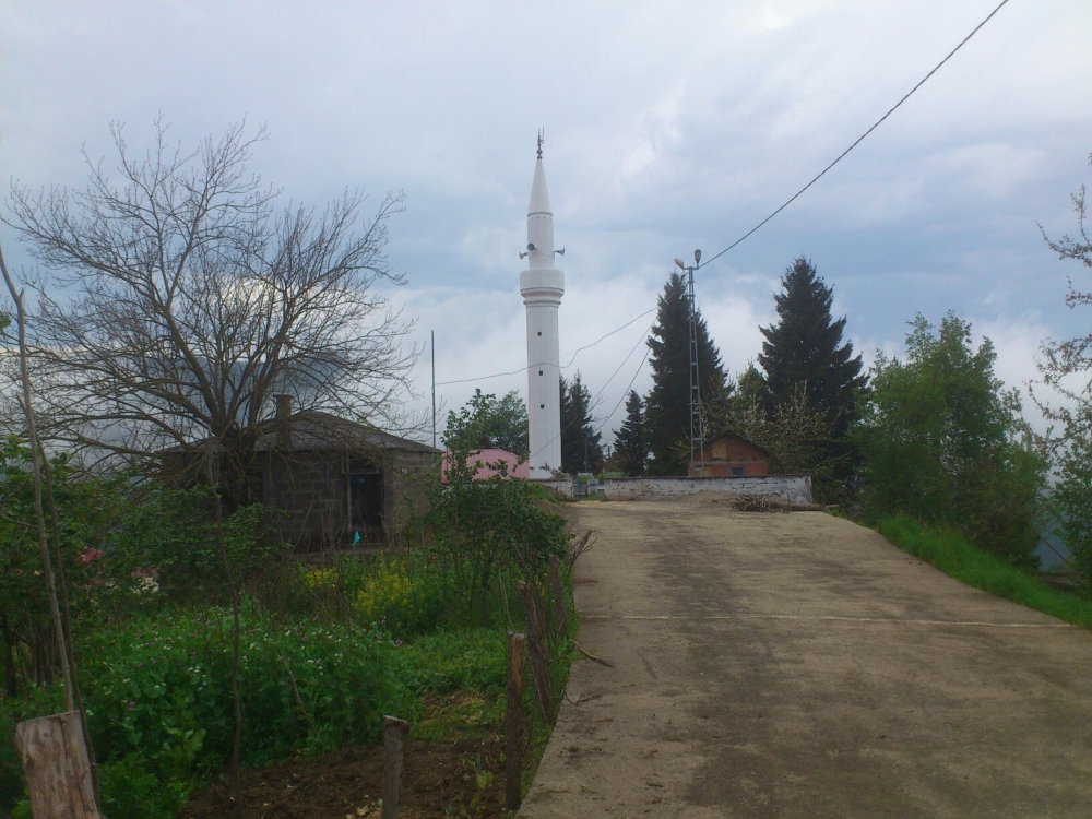 Şalpazarı Çarlaklı Köyü Resimleri 39