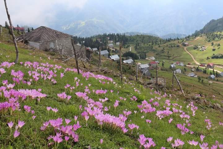 Şalpazarı Çarlaklı Köyü Resimleri 5
