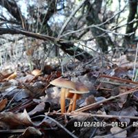 Uşak Halilefendiçiftliği Köyü Resimleri 10