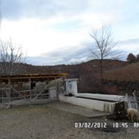 Uşak Halilefendiçiftliği Köyü Resimleri 2