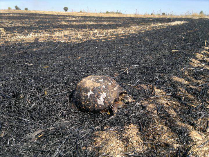 Uşak Halilefendiçiftliği Köyü Resimleri 3