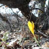 Uşak Halilefendiçiftliği Köyü Resimleri 6