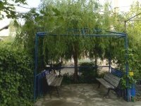 Uşak Kılcan Köyü Resimleri 2