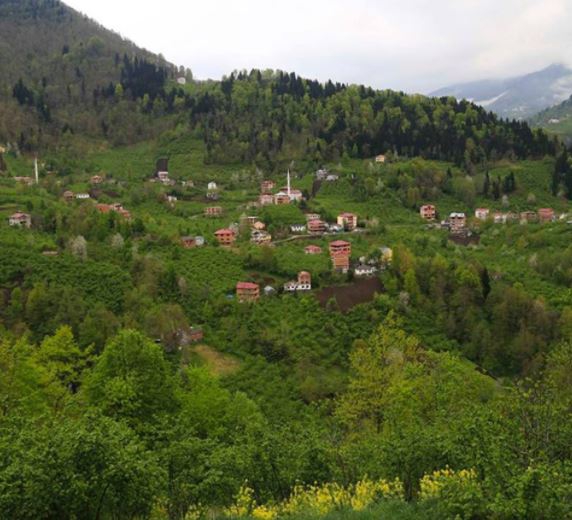Şalpazarı Düzköy Resimleri 1