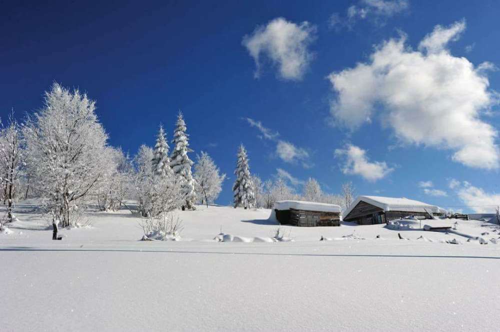 Şalpazarı Düzköy Resimleri 24