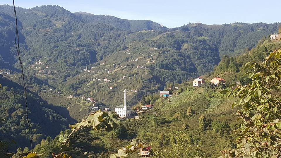 Şalpazarı Fidanbaşı Köyü Resimleri 10