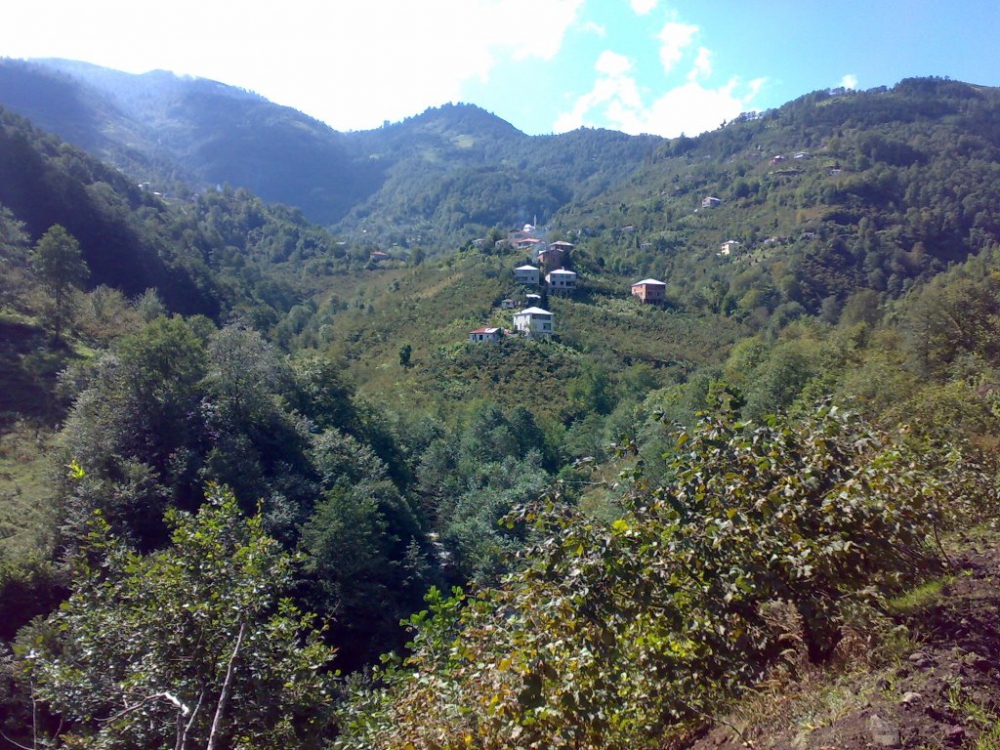 Şalpazarı Fidanbaşı Köyü Resimleri 15