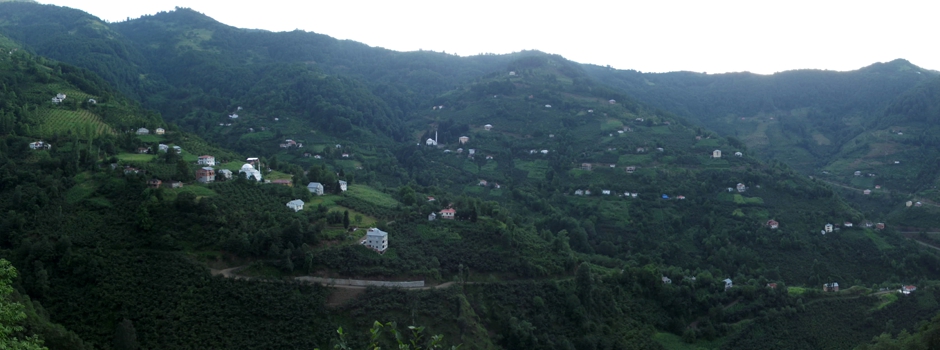 Şalpazarı Fidanbaşı Köyü Resimleri 17