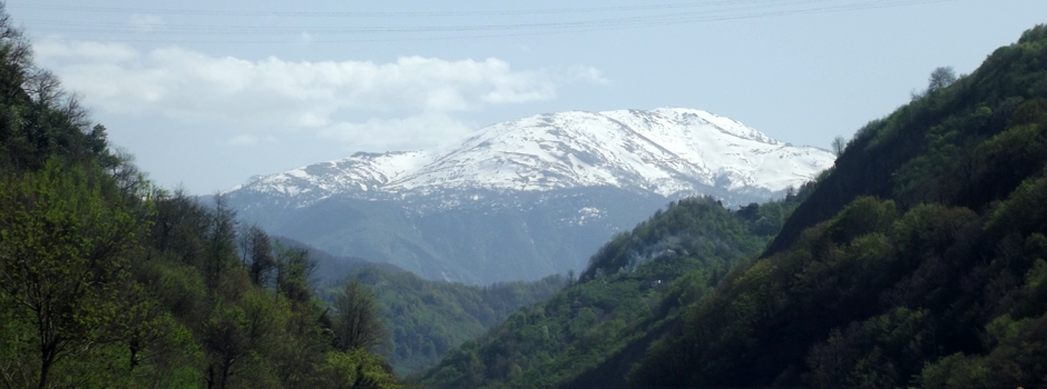 Şalpazarı Fidanbaşı Köyü Resimleri 19