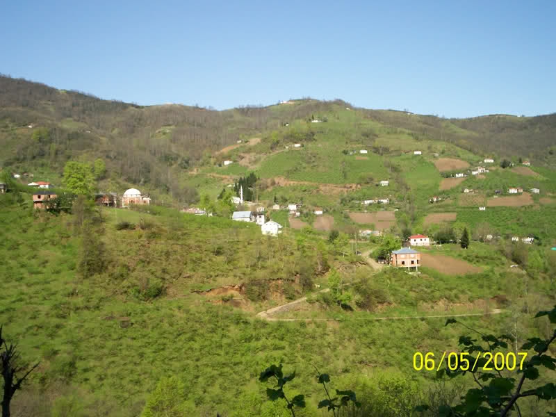 Şalpazarı Fidanbaşı Köyü Resimleri 2