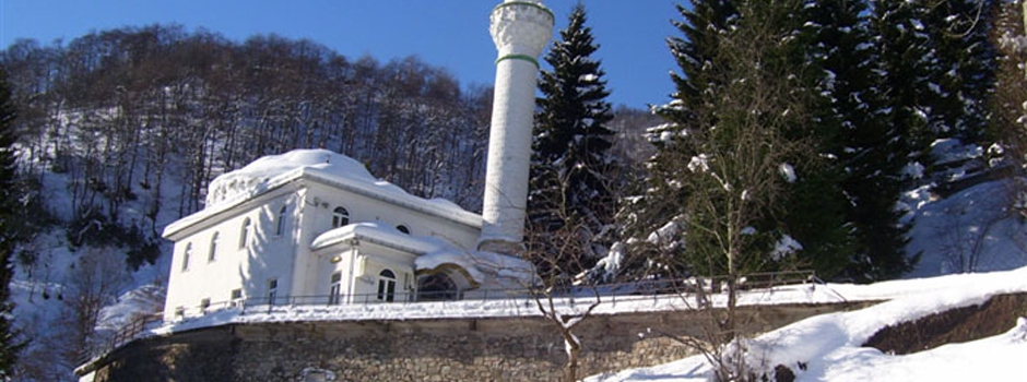 Şalpazarı Fidanbaşı Köyü Resimleri 20