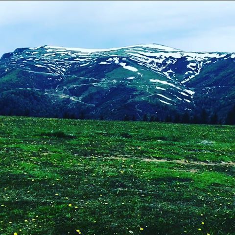 Şalpazarı Fidanbaşı Köyü Resimleri 6