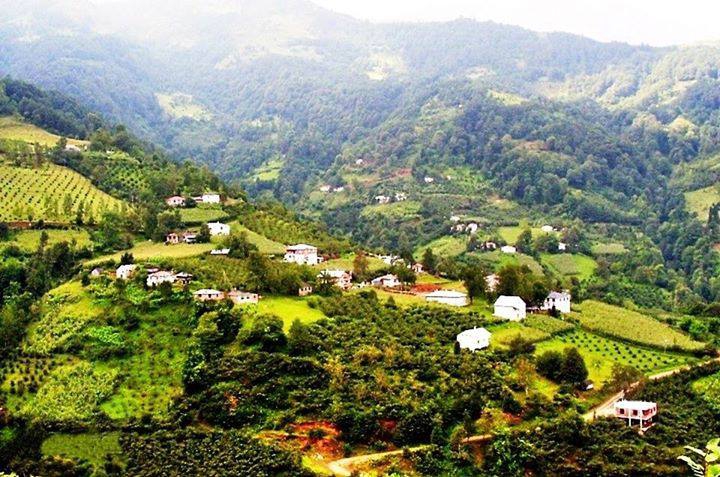 Şalpazarı Fidanbaşı Köyü Resimleri 9