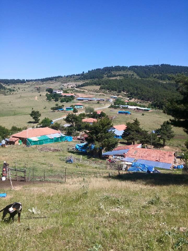 Uşak Sorkun Köyü Resimleri 10