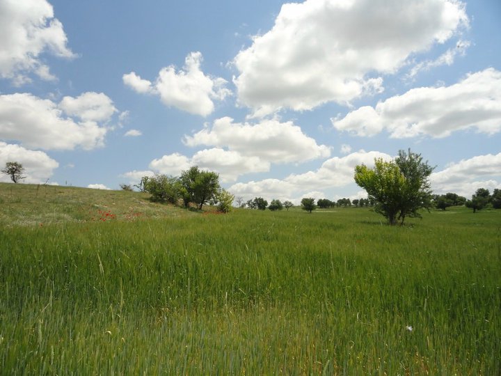 Uşak Susuzören Köyü Resimleri 8