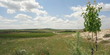 Uşak Susuzören Köyü Resimleri 9