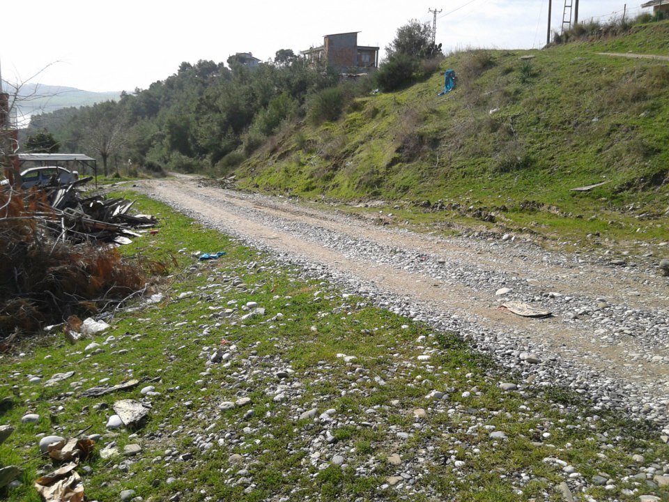 Adana Çukurova Dörtler Köyü Resimleri 17