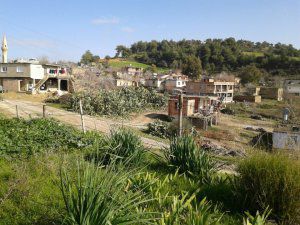 Adana Çukurova Dörtler Köyü Resimleri