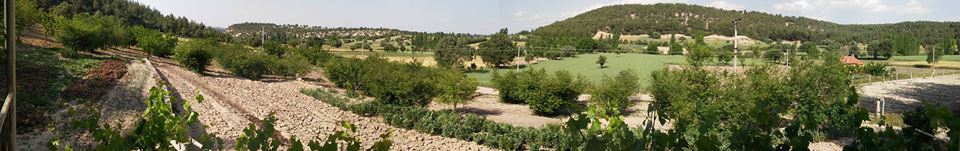 Uşak Yoncalı Köyü Resimleri 5