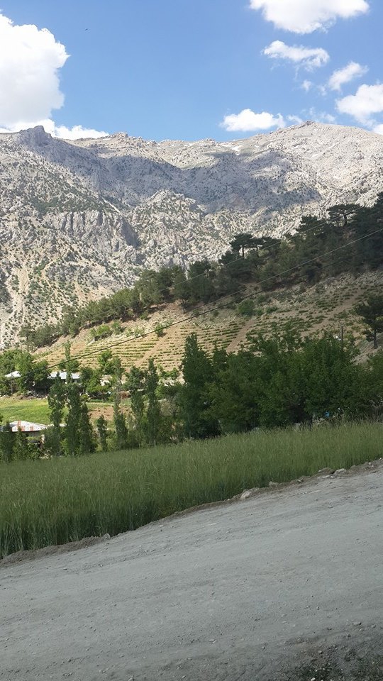 Dulkadiroğlu Karamanlı Köyü Resimleri 11