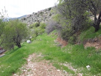 Dulkadiroğlu Kartal Köyü Resimleri 3