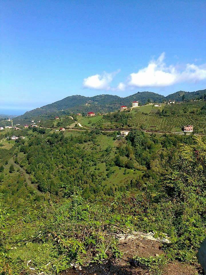 Şalpazarı Gölkiriş Köyü Resimleri 13