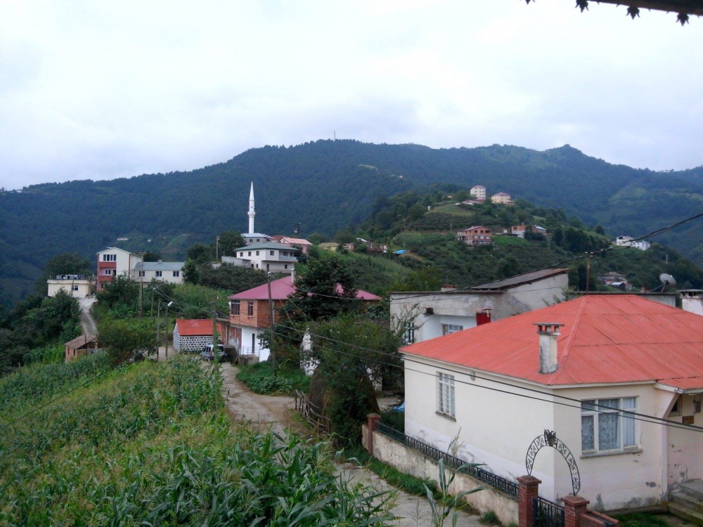 Şalpazarı Gölkiriş Köyü Resimleri 14