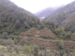 Şalpazarı Gölkiriş Köyü Resimleri 5