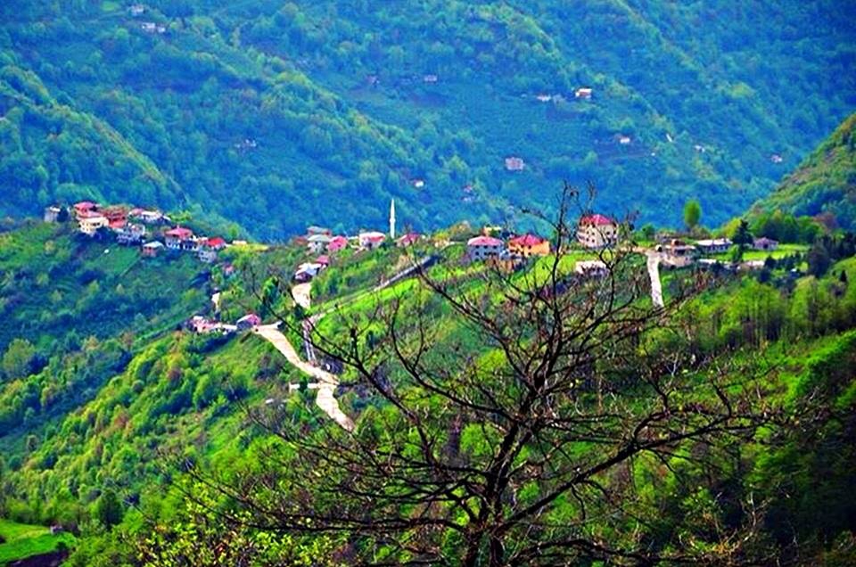Şalpazarı Gölkiriş Köyü Resimleri 6