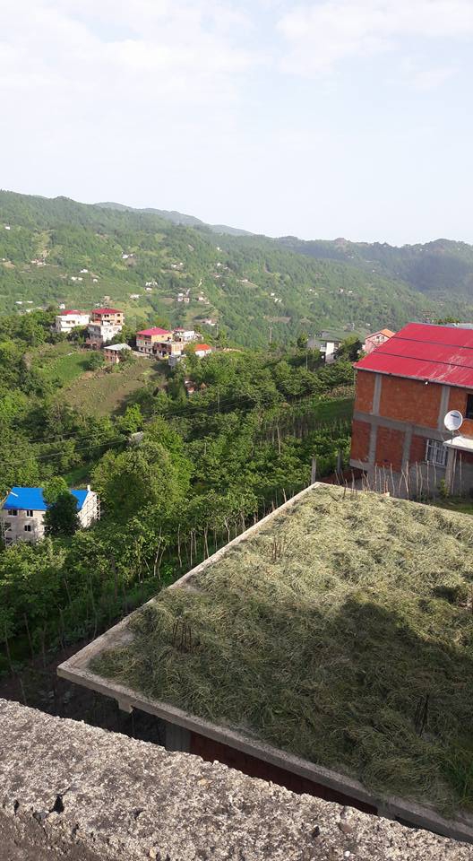 Şalpazarı Gölkiriş Köyü Resimleri 7