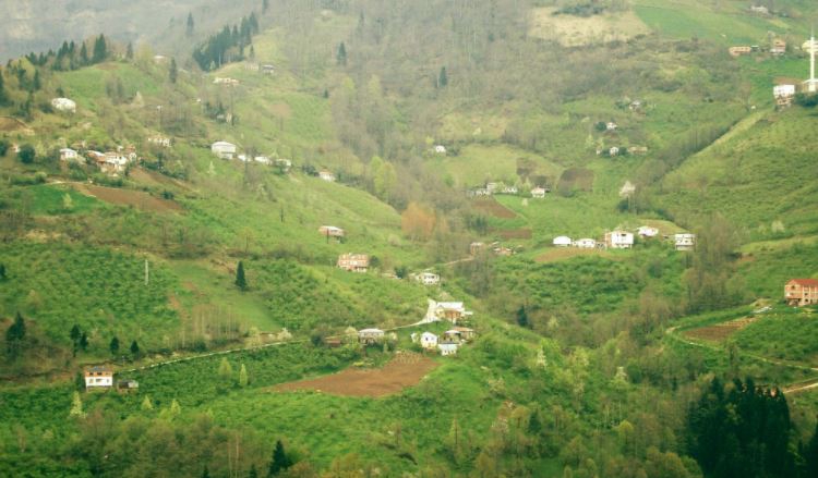 Şalpazarı Kasımağzı Köyü Resimleri 20