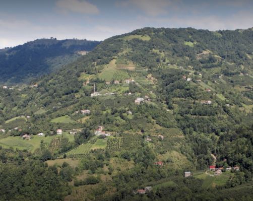 Şalpazarı Kasımağzı Köyü Resimleri 3