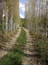 Dulkadiroğlu Küçüknacar Köyü Resimleri 2