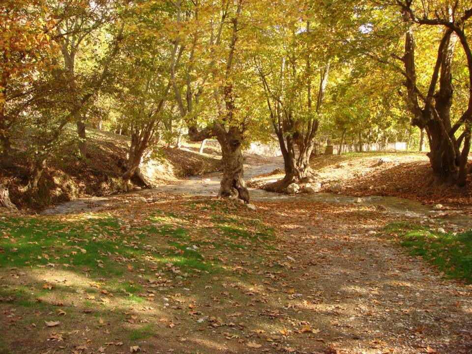 Dulkadiroğlu Küçüknacar Köyü Resimleri 9