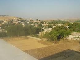 Dulkadiroğlu Küpelikız Köyü  Resimleri 5