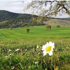 Dulkadiroğlu Küpelikız Köyü  Resimleri 6