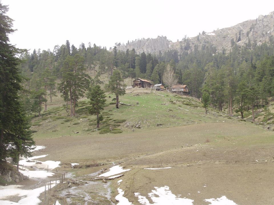 Taşköprü Kayadibi Köyü Resimleri 3