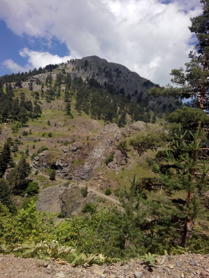 Taşköprü Kayadibi Köyü Resimleri 5