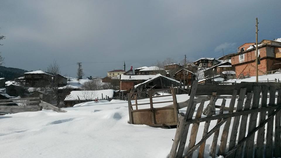 Taşköprü Kayadibi Köyü Resimleri 6