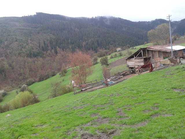 Taşköprü Kayadibi Köyü Resimleri 7