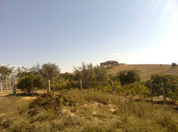 Adana Çukurova Kabasakal Köyü Resimleri 11