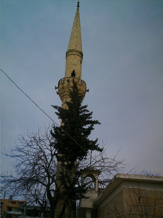 Adana Çukurova Kabasakal Köyü Resimleri 5