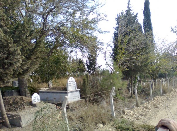 Adana Çukurova Kabasakal Köyü Resimleri 7