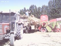 Aydıntepe Alaca Köyü Resimleri 2